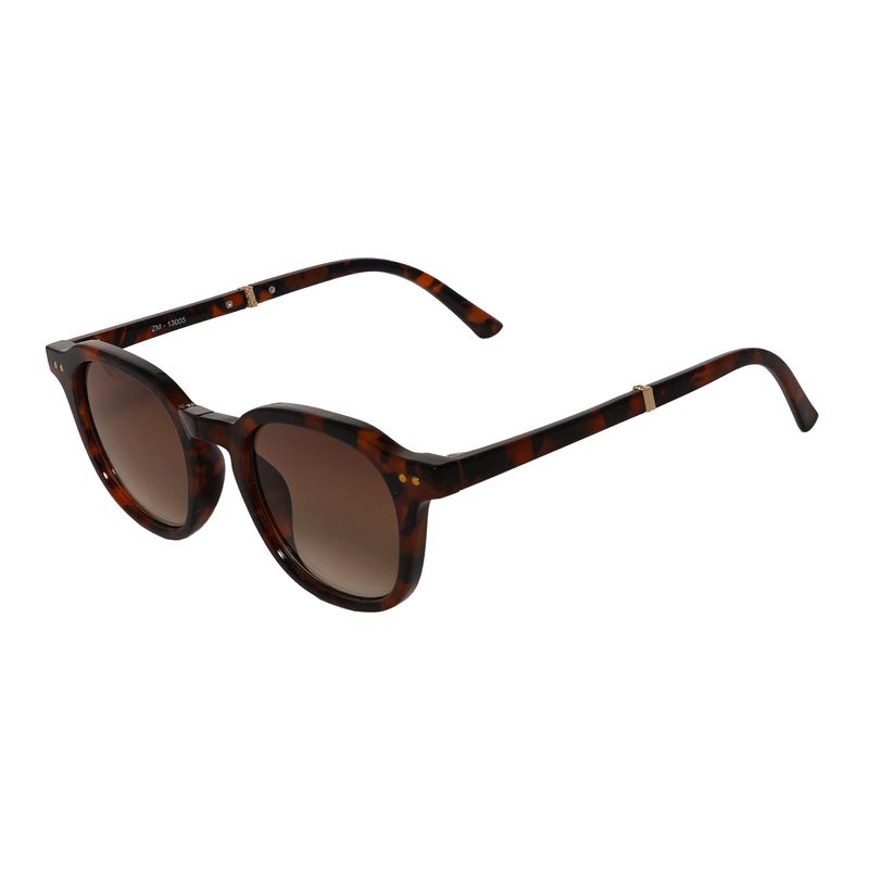 GASSI-FOLD--TARTARUGA-