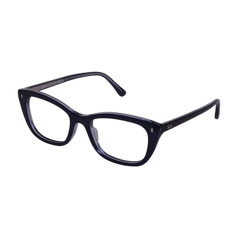 ray-ban---2-
