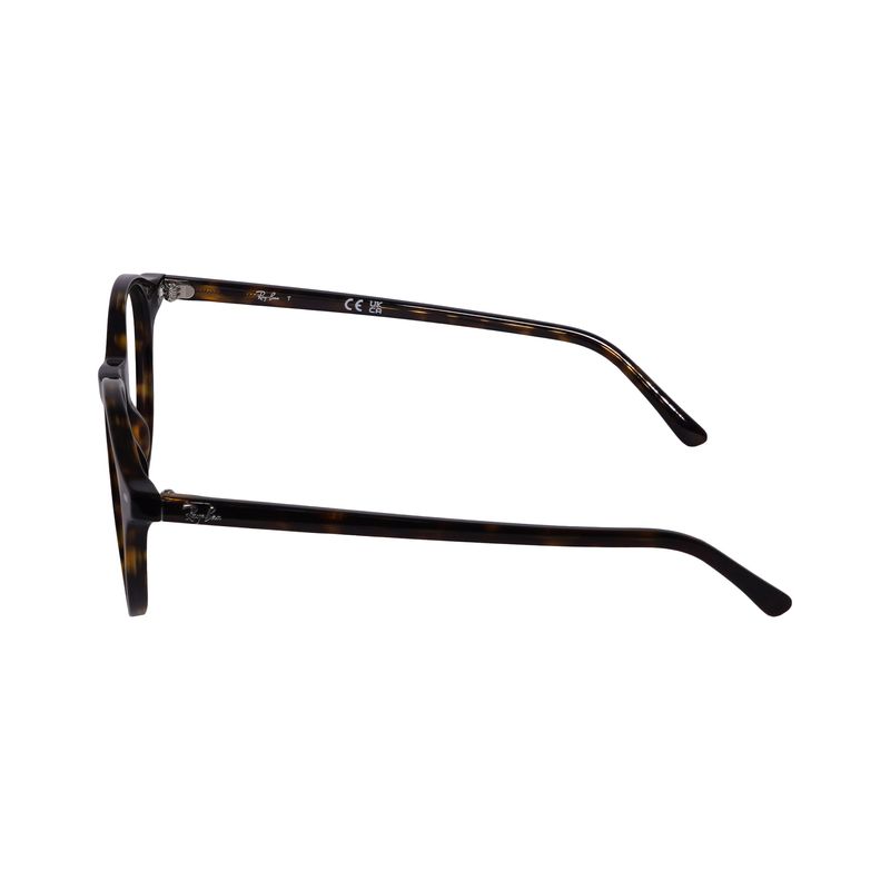 ray-ban-1--3-